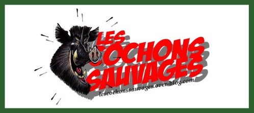 cochons-sauvages.jpg