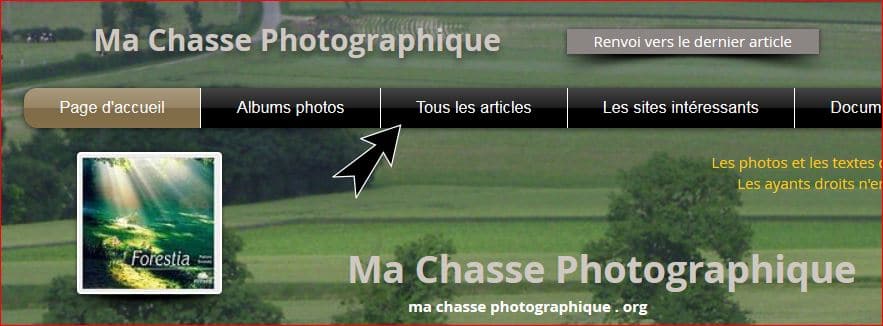 ma chasse photographique