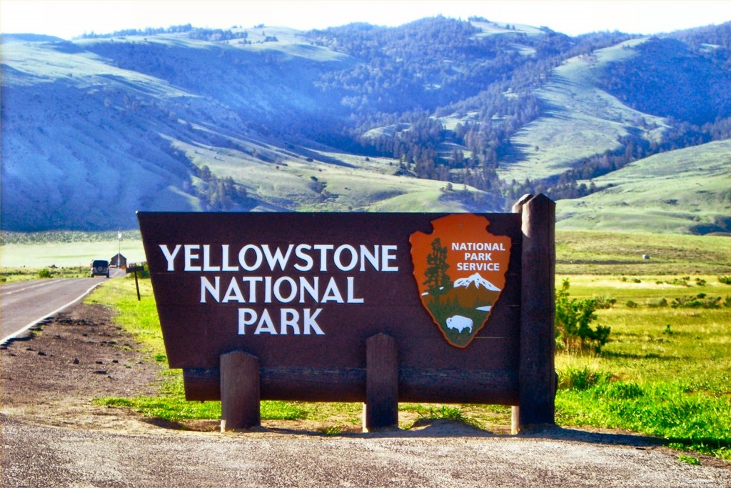 yellowstone parc