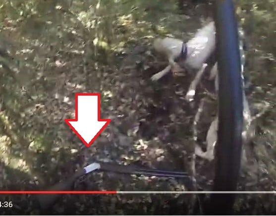 Vidéo : "Je monte au ferme les gars, je monte au ferme !" Superbe vidéo dans les règles de la chasse !