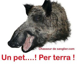 (c) Chasseurdesanglier.com