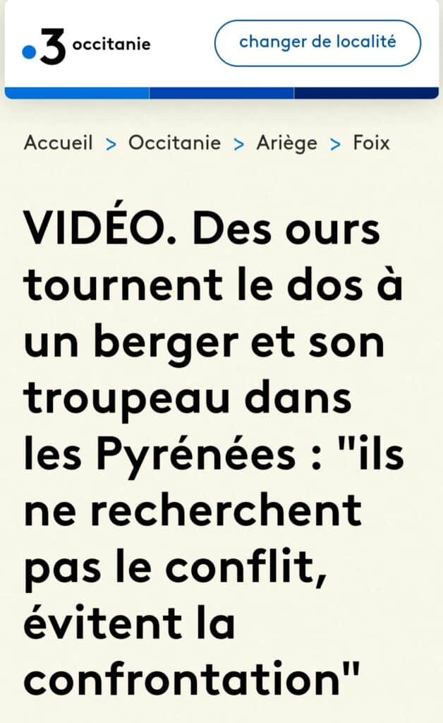 Ariège : 209 brebis se tuent en voulant échapper à l'ours, 600 disparaissent...! "Ça ne coûte rien, c'est l’État qui paye" !